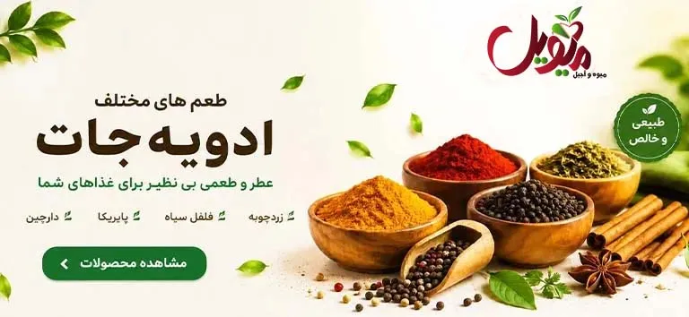 فروشگاه اینترنتی میویل
