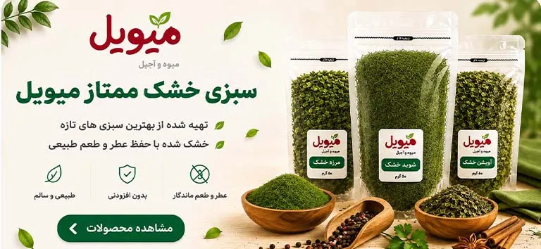 فروشگاه اینترنتی میویل