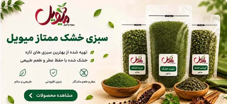 فروشگاه اینترنتی میویل